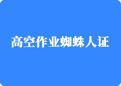 操哭白虎视频高空作业蜘蛛人证